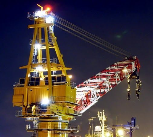 Tower crane training in Nhlangano