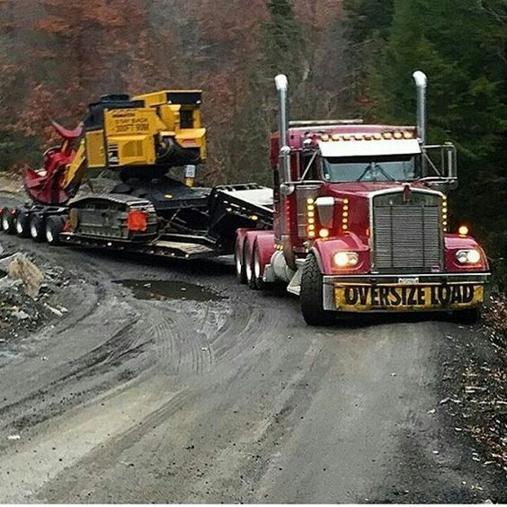 Code 14 Driving License in Otjiwarongo